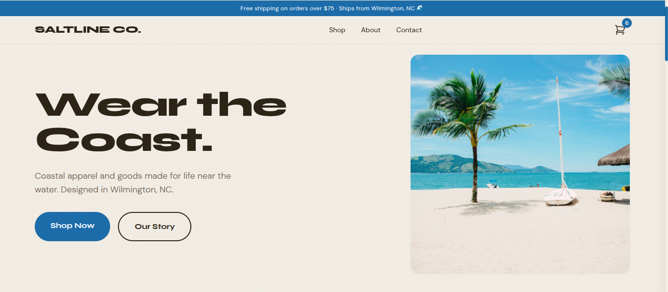 Saltline Co website screenshot